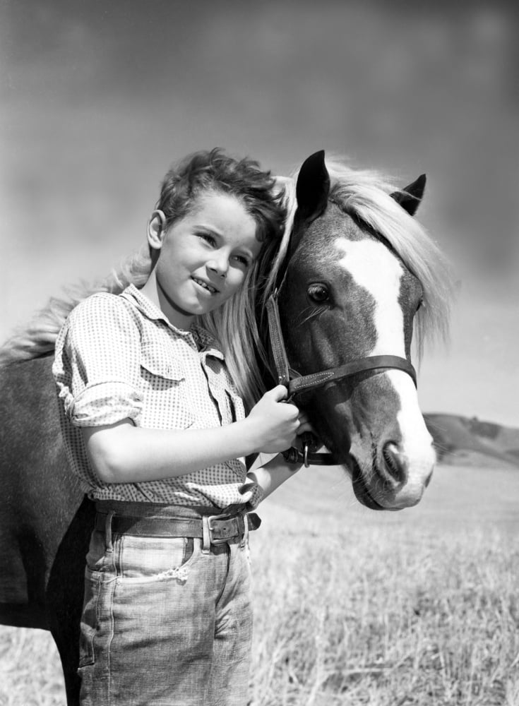 The Red Pony Canvas Art -  (16 x 20)