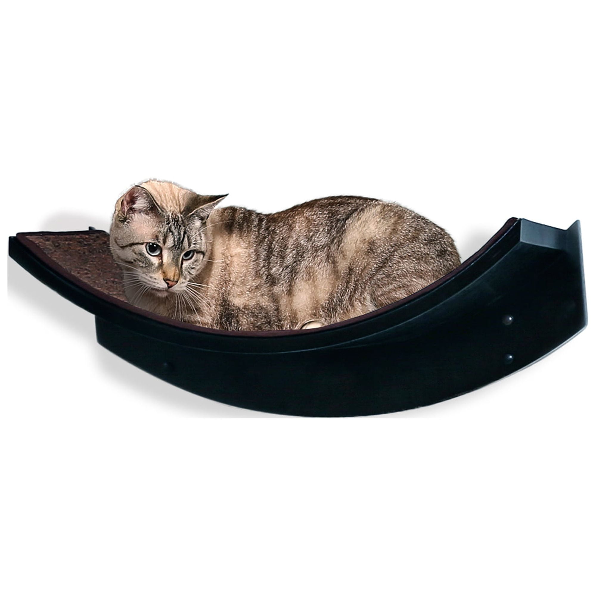 Espresso Curved Solid Wood Wall-Mounted Cat Perch