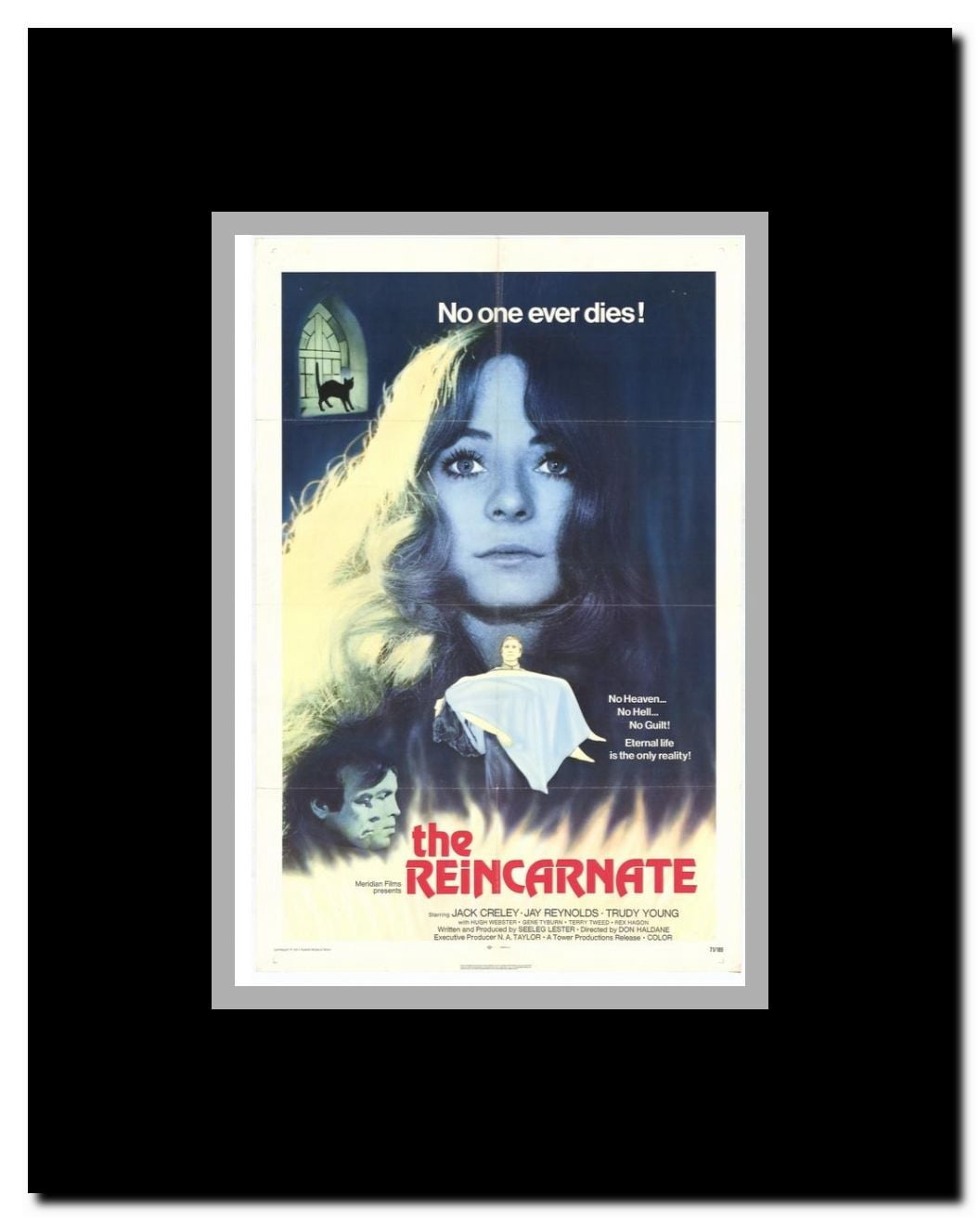 The Reincarnate Framed Movie Poster