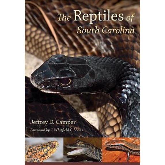 Pre-Owned The Reptiles of South Carolina: Foreword by J. Whitfield Gibbons Paperback - USED