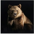 thumbnail image 1 of Crestview Resting Wall Art CVTOP2640, 1 of 1