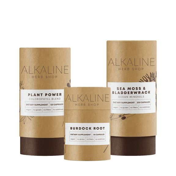 The Restore Bundle - Sea Moss & Bladderwrack, Plant Power (Chlorophyll), and Burdock Root