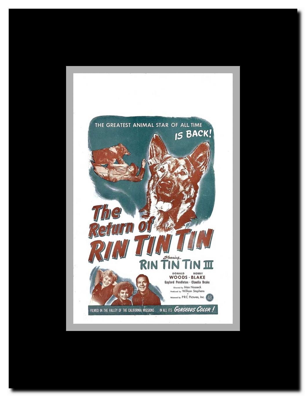The Return of Rin Tin Tin Framed Movie Poster