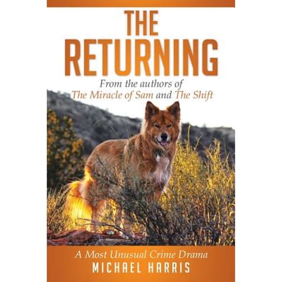 Pre-Owned The Returning : A Most Unusual Crime Drama (Paperback) 9781499011456