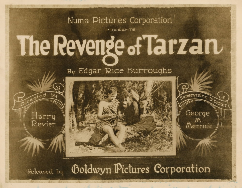 The Revenge Of Tarzan Canvas Art - (28 x 22)