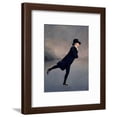 thumbnail image 1 of The Reverend Robert Walker Skating on Duddingston Loch, 1795, Seasons Framed Art Print Wall Art by Sir Henry Raeburn Sold by Art.Com, 1 of 6