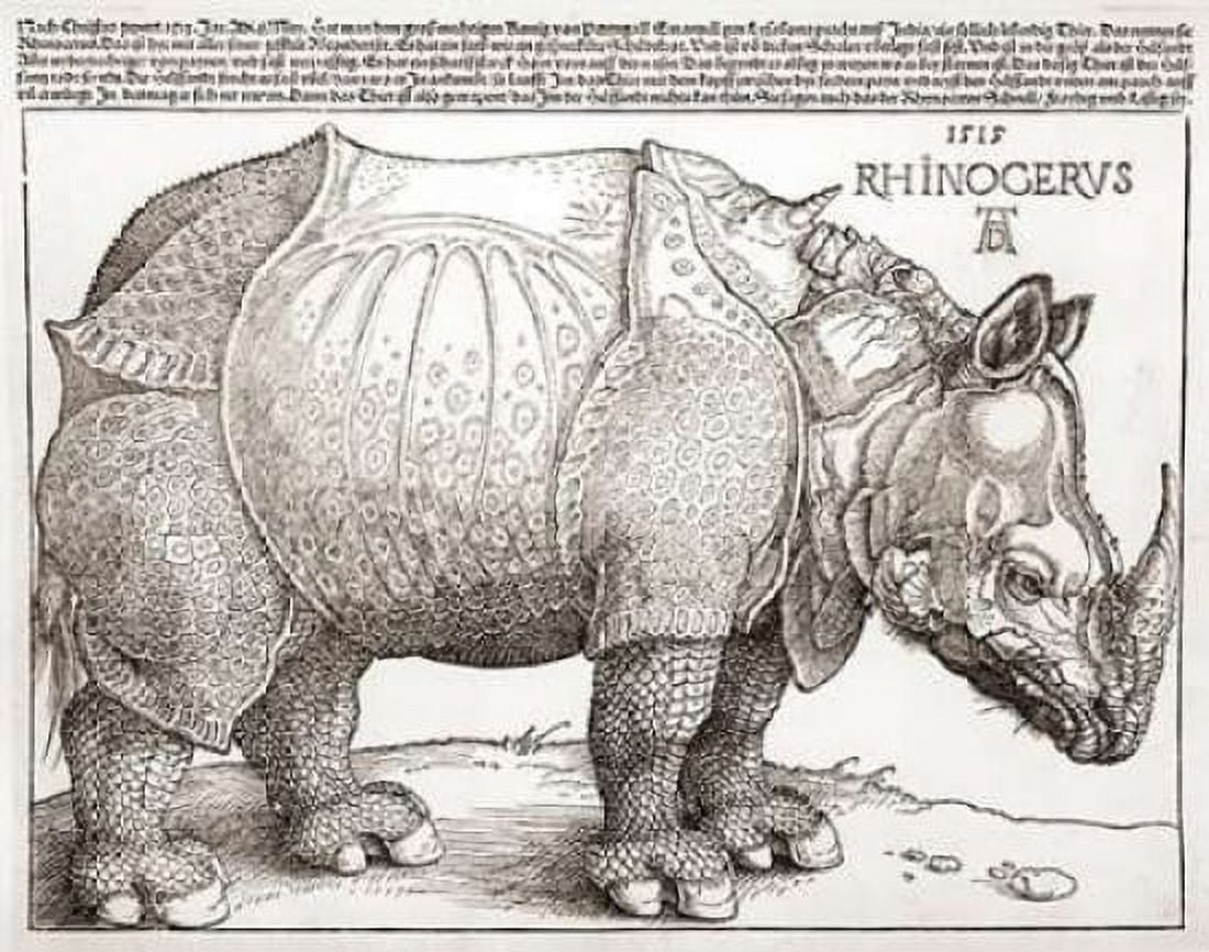 The Rhinoceros Canvas Art - Albrecht Durer (22 x 28)