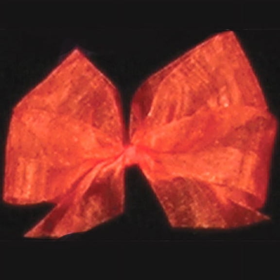 The Ribbon People Bittersweet Burnt Orange Organdy Craft Ribbon 2" x 55 Yards