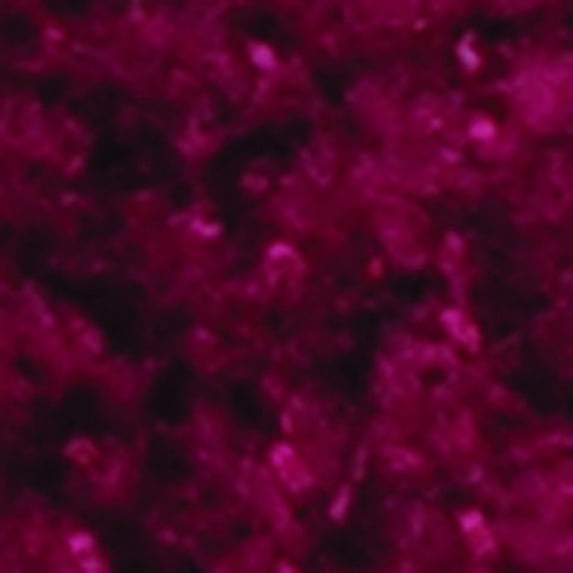 The Ribbon People Burgundy Red Chenille Wired Craft Ribbon 0.25" x 110 Yards