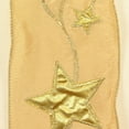 thumbnail image 1 of Gold Star Contemporary Wired Craft Ribbon 4" x 10 Yards, 1 of 2