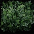 thumbnail image 1 of The Ribbon People Green Small Field Maple Wired Craft Ribbon Garland 1" x 108 Yards, 1 of 2