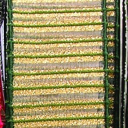 The Ribbon People Green and Gold Striped Wire Craft Ribbon 4" x 20 Yards