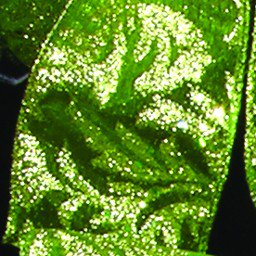 The Ribbon People Lime Green Glittered Wire Craft Ribbon 4" x 20 Yards