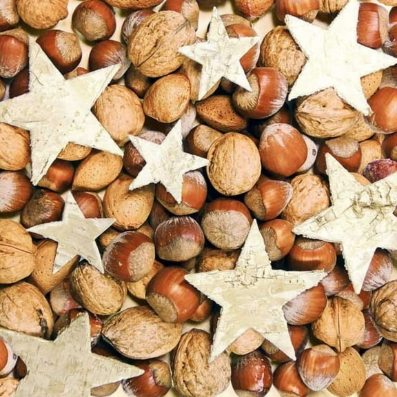 The Ribbon People Pack of 60 Nuts with Holiday Stars 3-Ply Lunch Napkins 6.5"