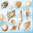 thumbnail image 1 of The Ribbon People Pack of 60 Sea Shells 3-Ply Lunch Napkins 6.5", 1 of 2