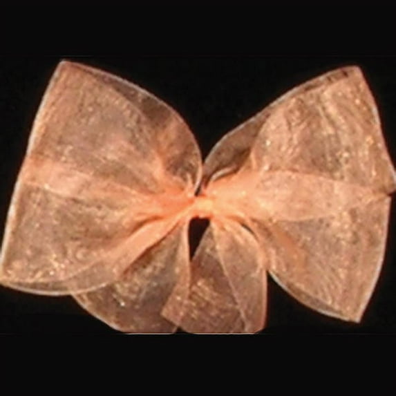 The Ribbon People Peach Beach Silver Organdy Craft Ribbon 3" x 55 Yards