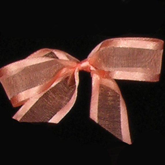 The Ribbon People Pear Pink Edged Craft Ribbon 0.6" x 120 Yards