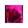thumbnail image 1 of The Ribbon People Pink Floral Wired Craft Ribbon 20 Yards, 1 of 2