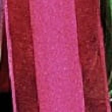 The Ribbon People Pink and Red Margaritte Craft Ribbon 1.5" x 30 Yards