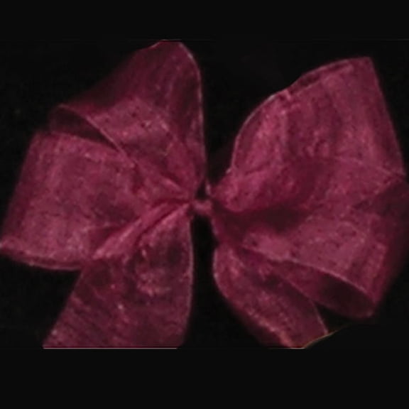 The Ribbon People Purple Wine Organdy Craft Ribbon 3" x 55 Yards