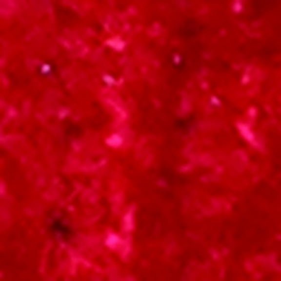 The Ribbon People Red Chenille Wired Craft Ribbon 0.25" x 110 Yards