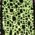 thumbnail image 1 of The Ribbon People Shimmering Lime Green Glittered Web Craft Ribbon 1.5" x 54 Yards, 1 of 2