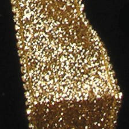 The Ribbon People Shining Gold Beaded Broadway Wired Craft Ribbon 2" x 40 Yards