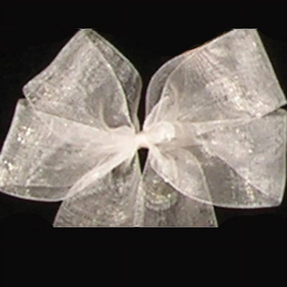 Silver Pearl Solid Organdy Craft Ribbon 1" x 110 Yards
