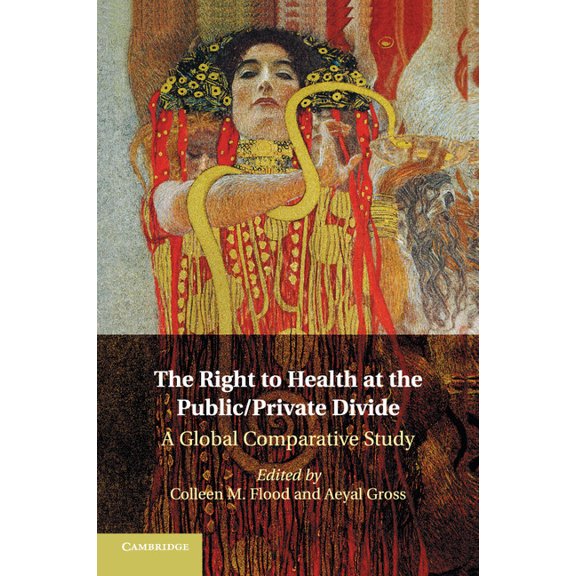 The Right to Health at the Public/Private Divide, (Paperback)