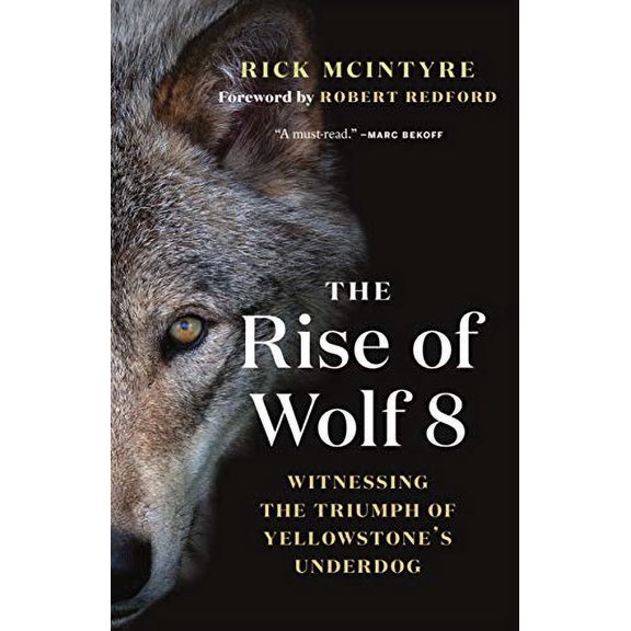 Pre-Owned The Rise of Wolf 8: Witnessing the Triumph of Yellowstone's Underdog (The Alpha Wolves of Yellowstone, 1), 9781771645218, 1771645210, Hardcover,