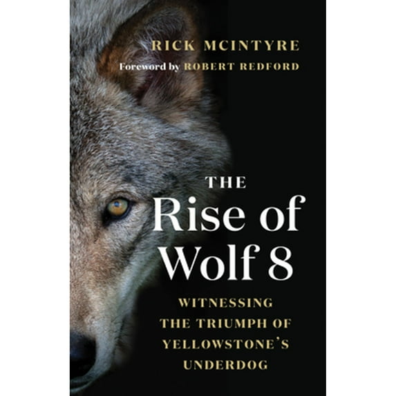 Pre-Owned The Rise of Wolf 8: Witnessing the Triumph of Yellowstone's Underdog (Hardcover) 1771645210 9781771645218