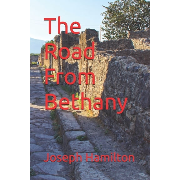 The Road From Bethany, (Paperback)