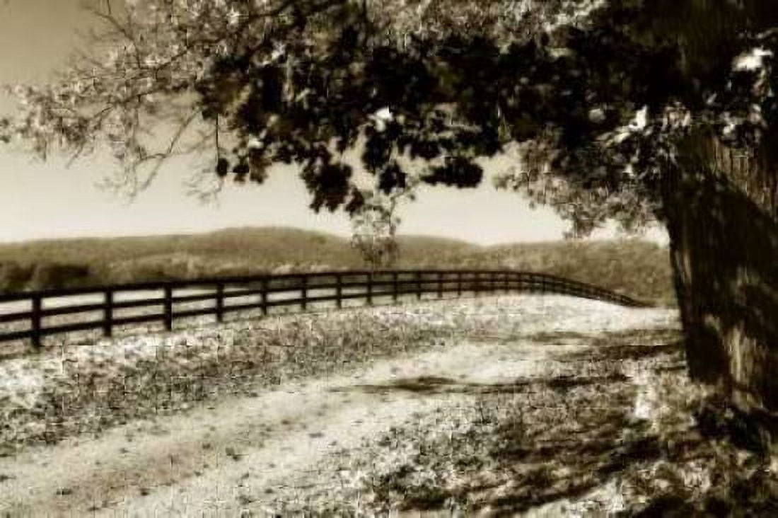 The Road Home II Canvas Art - Alan Hausenflock (20 x 28)