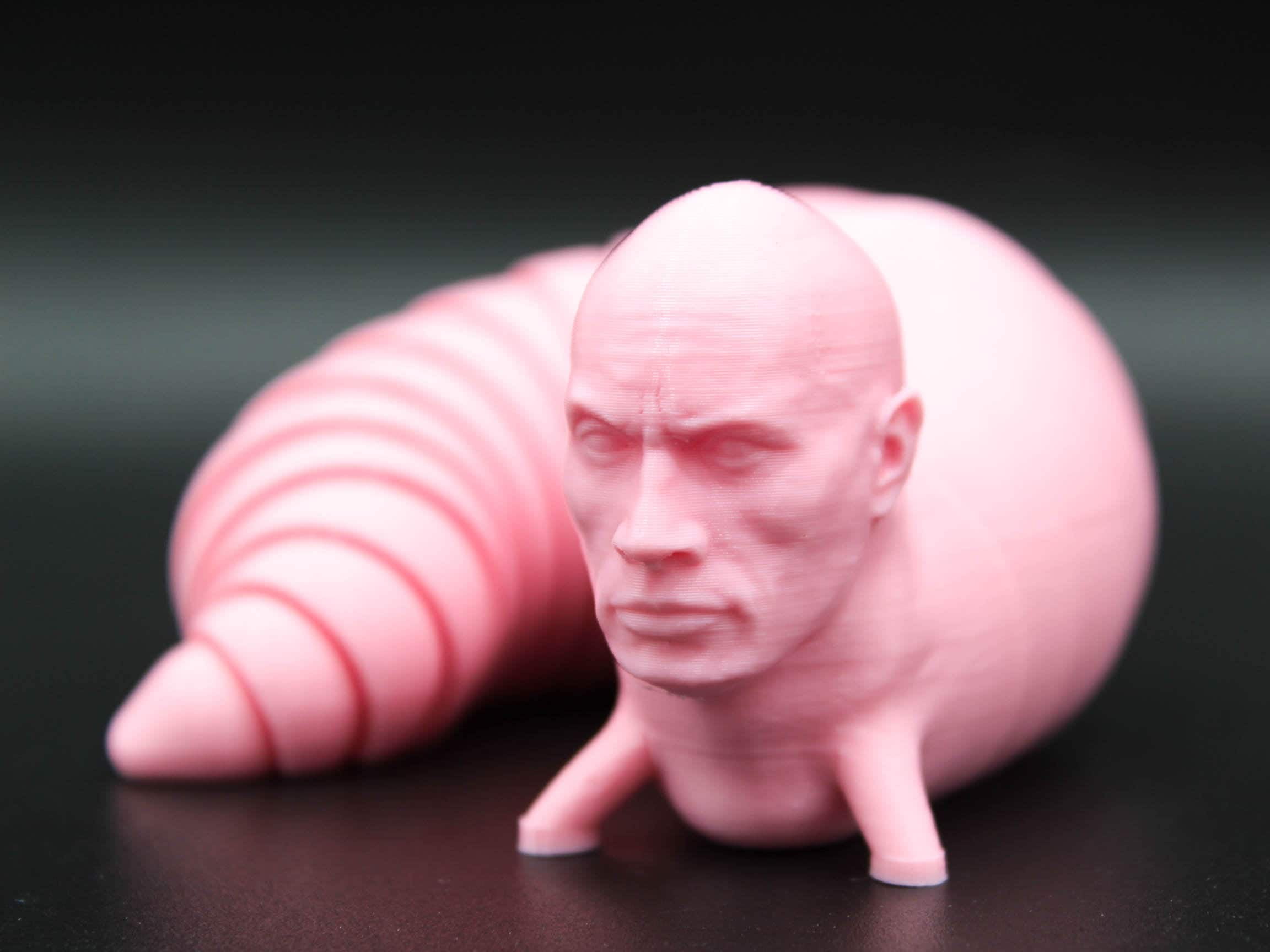 The Rook Slug The Rock Fidget Slug - Walmart.com