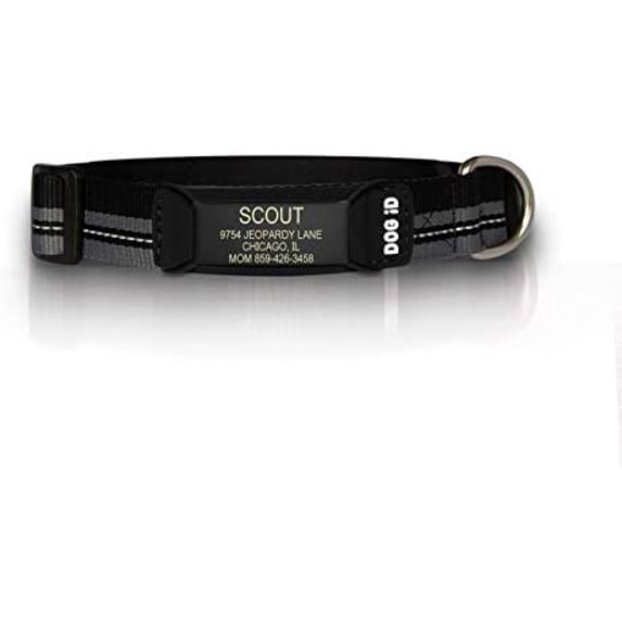 The Rock Solid Collar ID (Graphite Black, Small)