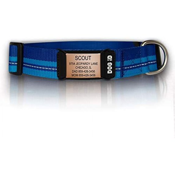 The Rock Solid Collar ID (Rose Gold Blue, Medium/Large)