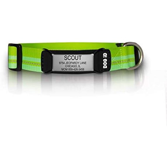 The Rock Solid Collar ID (Slate Green, Small)