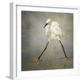 thumbnail image 1 of The Rock Star Framed Photographic Print by Alfred Forns, 16" x 16", Sold by Art.com, 1 of 4