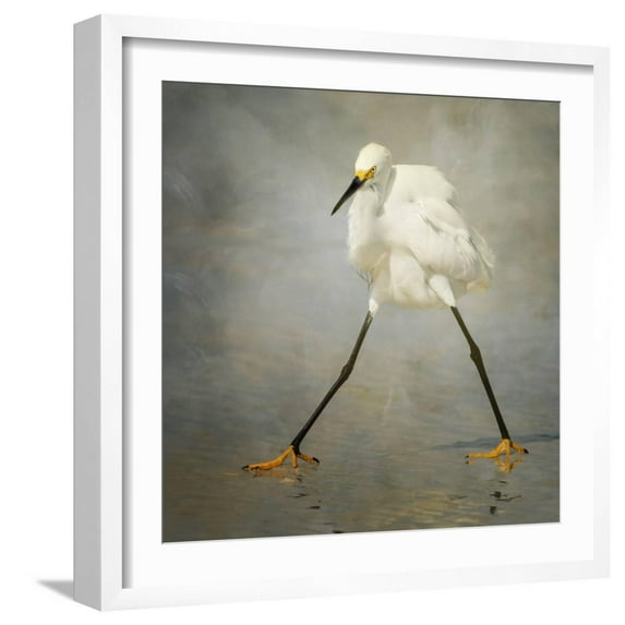 The Rock Star Framed Photographic Print by Alfred Forns, 16" x 16", Sold by Art.com