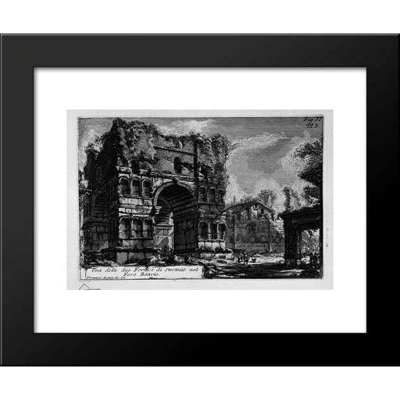 The Roman antiquities, t. 1, Plate XXI. Arch of Janus 20x24 Framed Art Print ...