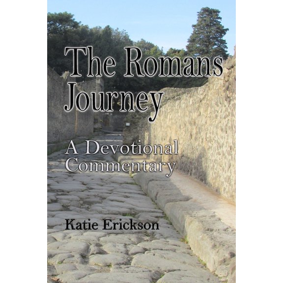 The Romans Journey : A Devotional Commentary (Paperback)