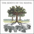 thumbnail image 1 of The Roots Of Taj Mahal, 1 of 1