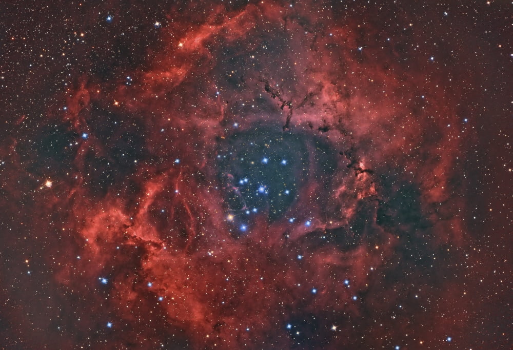 The Rosette Nebula Canvas Art - Reinhold WittichStocktrek Images (17 x 12)