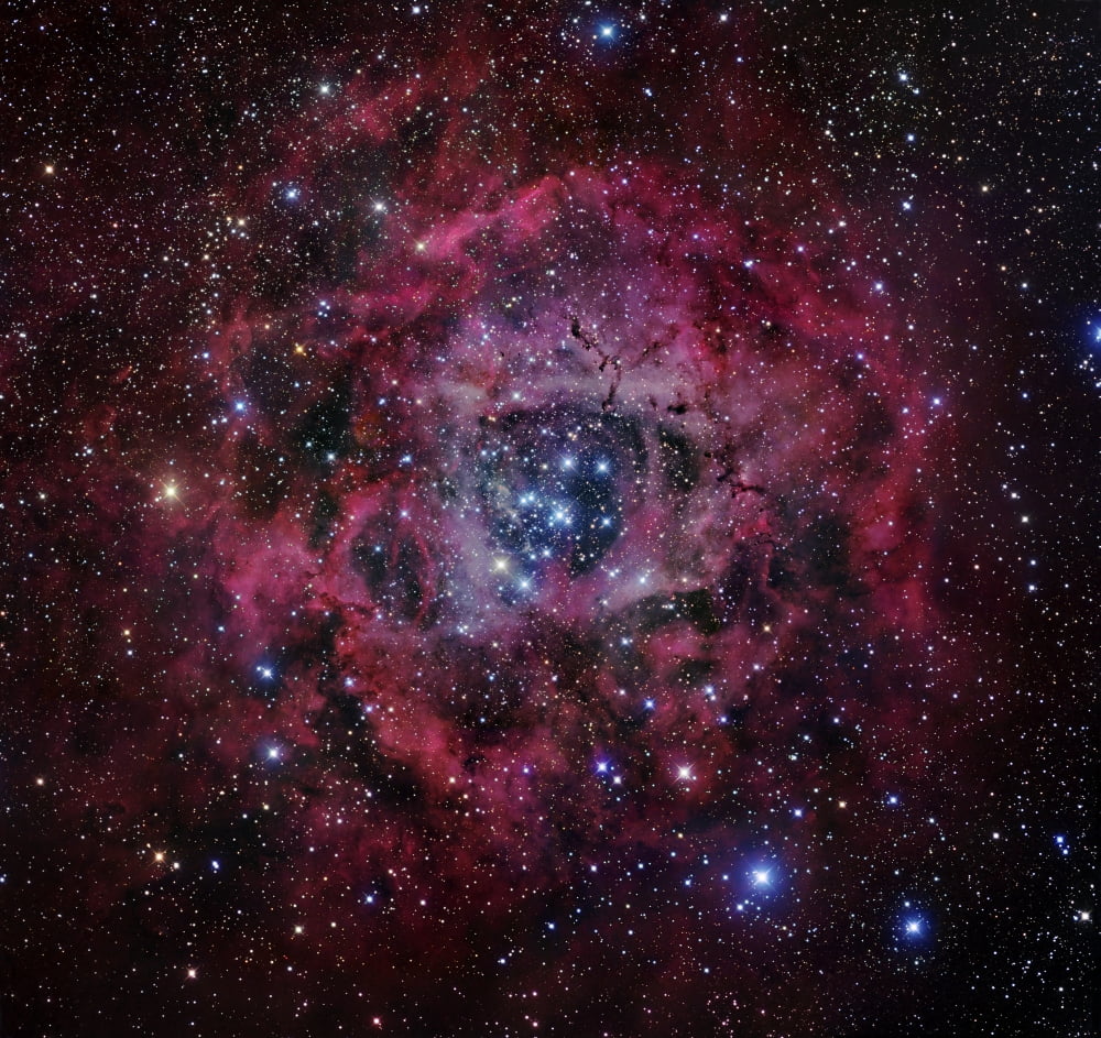 The Rosette Nebula Canvas Art - Robert GendlerStocktrek Images (29 x 28)