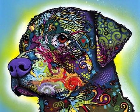 The Rottweiler Canvas Art - Dean Russo (24 x 30)