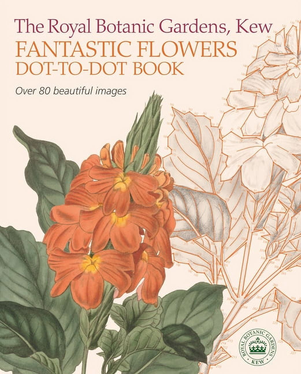 The Royal Botanic Gardens Fantastic Flowers Dot-to-dot Book - Walmart.com