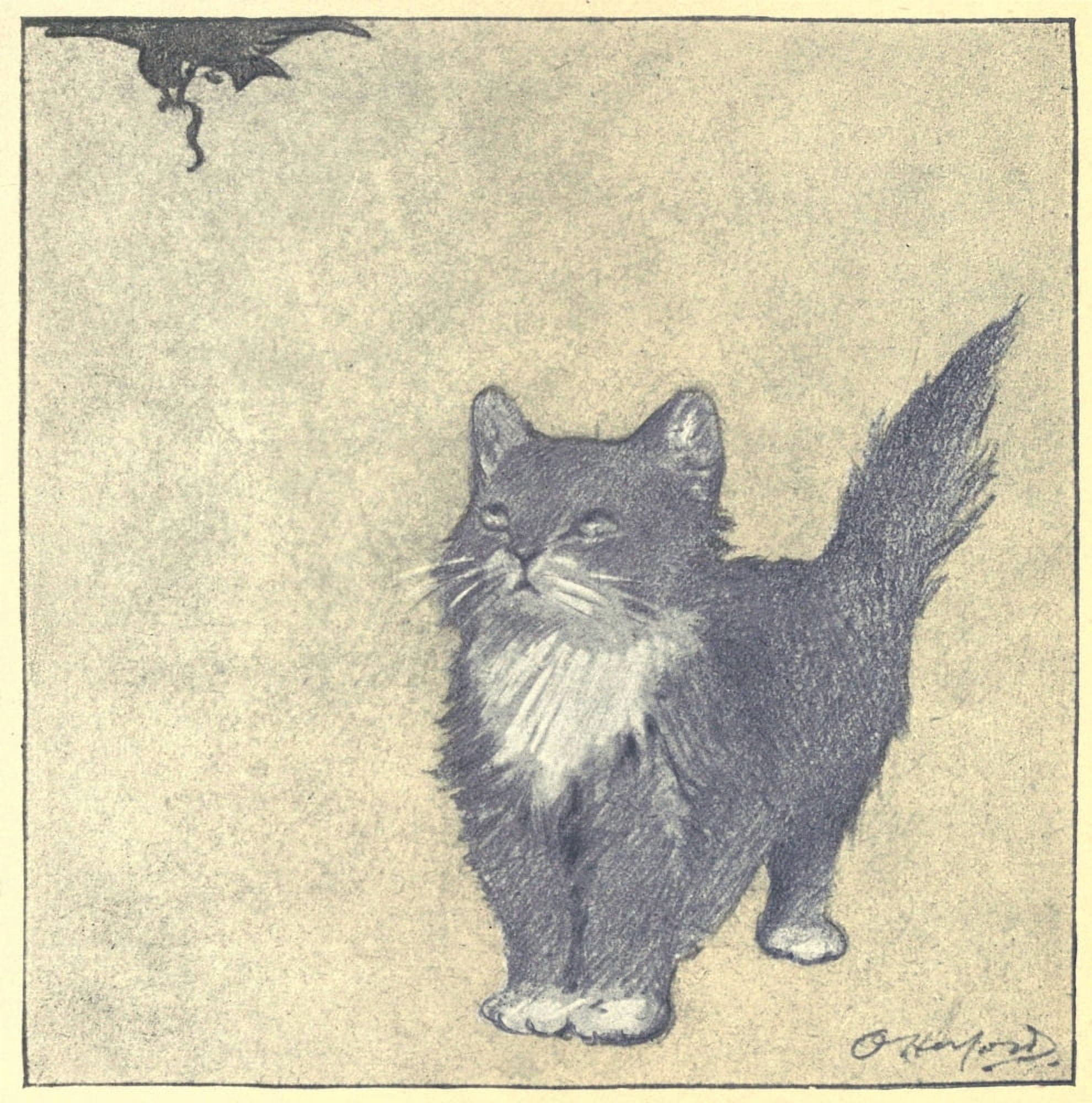 The Rubaiyat of a Persian Kitten 1906 Bird with worm Canvas Art - Oliver Herford (18 x 24)