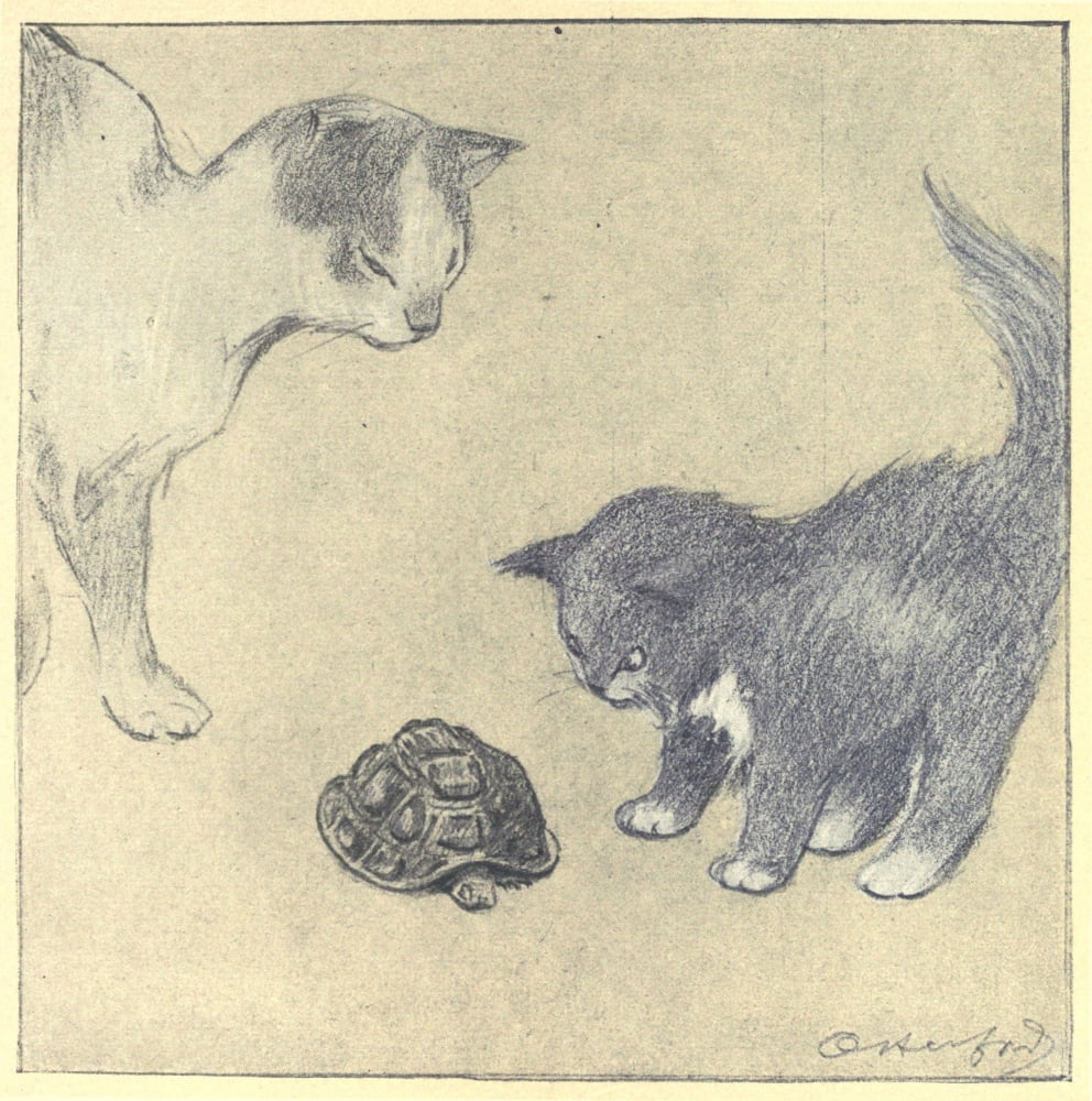 The Rubaiyat of a Persian Kitten 1906 Cats & tortoise Canvas Art - Oliver Herford (18 x 24)