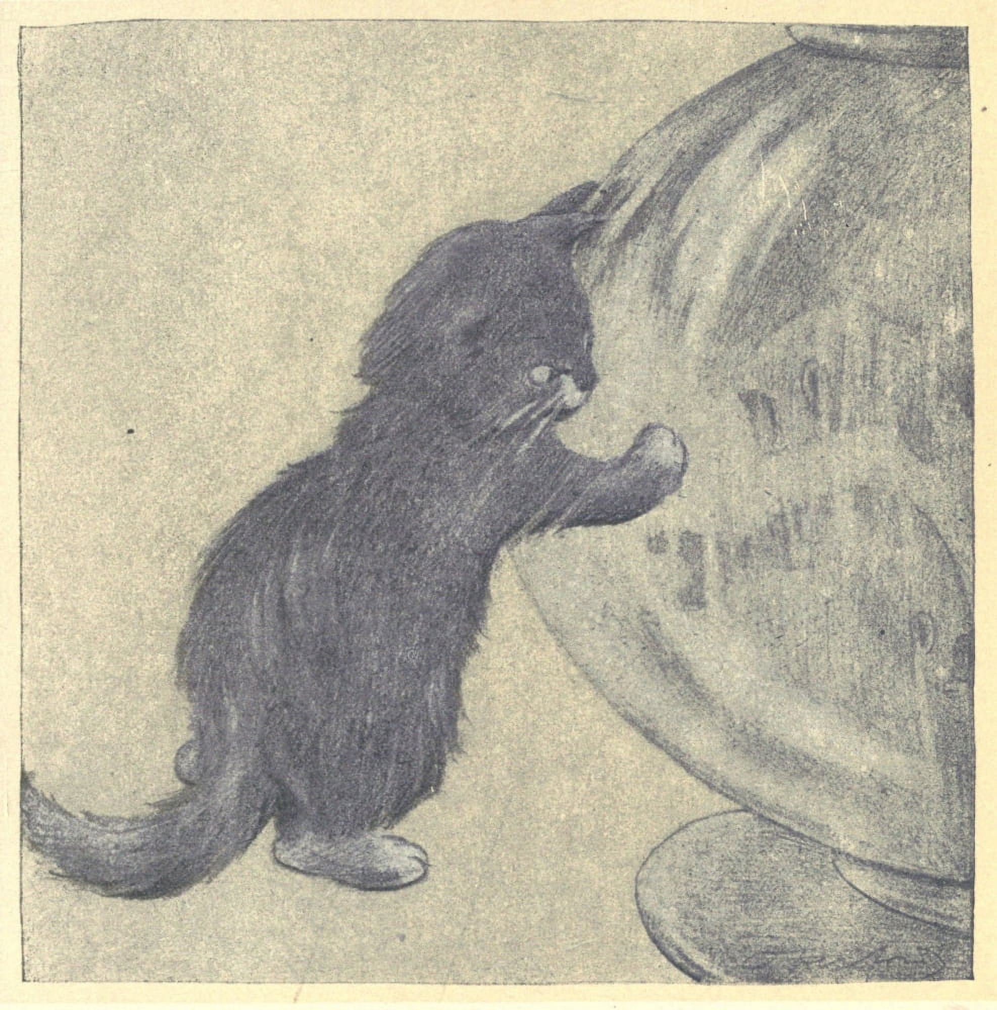 The Rubaiyat of a Persian Kitten 1906 Fishbowl cat Canvas Art - Oliver Herford (18 x 24)