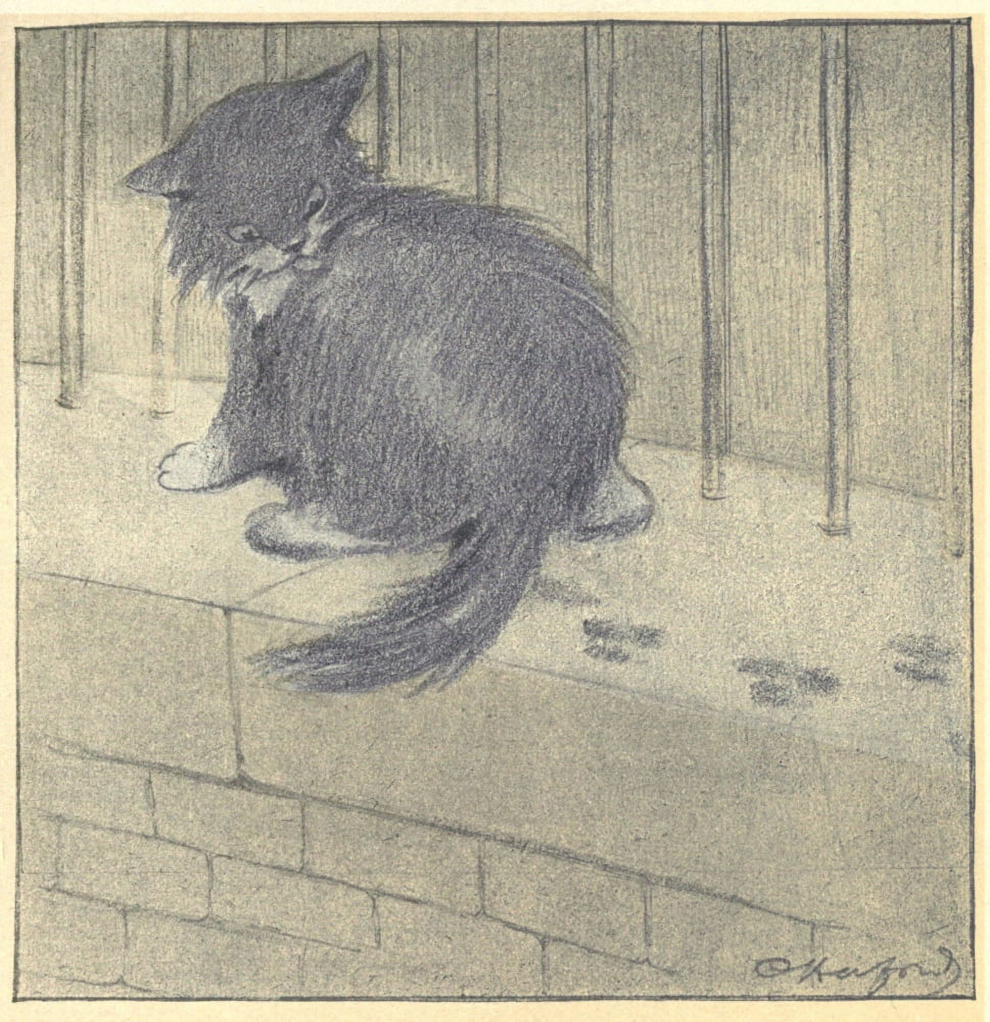 The Rubaiyat of a Persian Kitten 1906 Footprints Canvas Art - Oliver Herford (18 x 24)